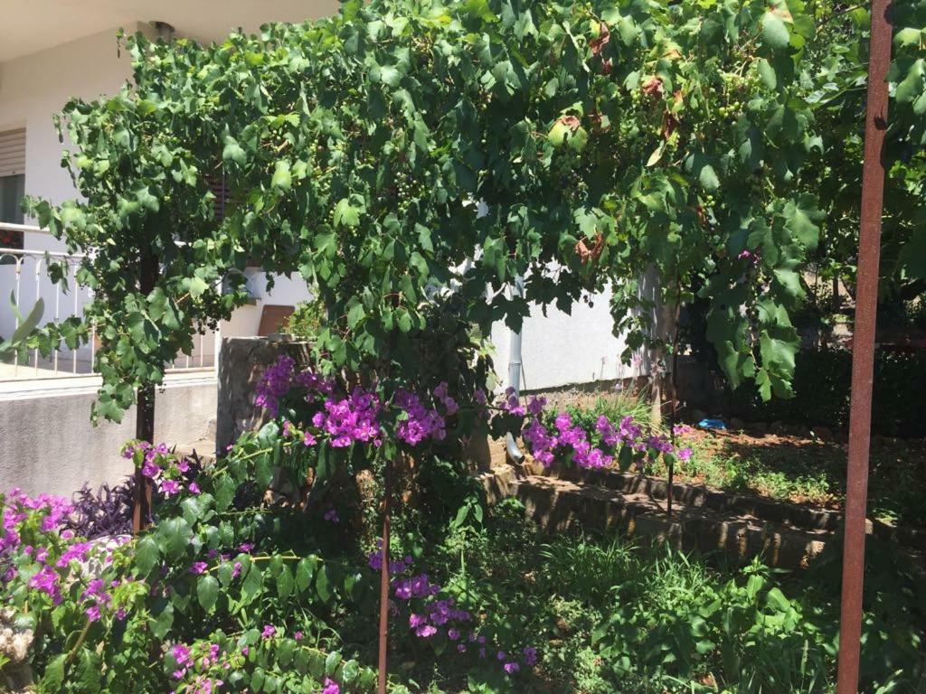 Apartmán Relax Garden Stari Grad  Exteriér fotografie